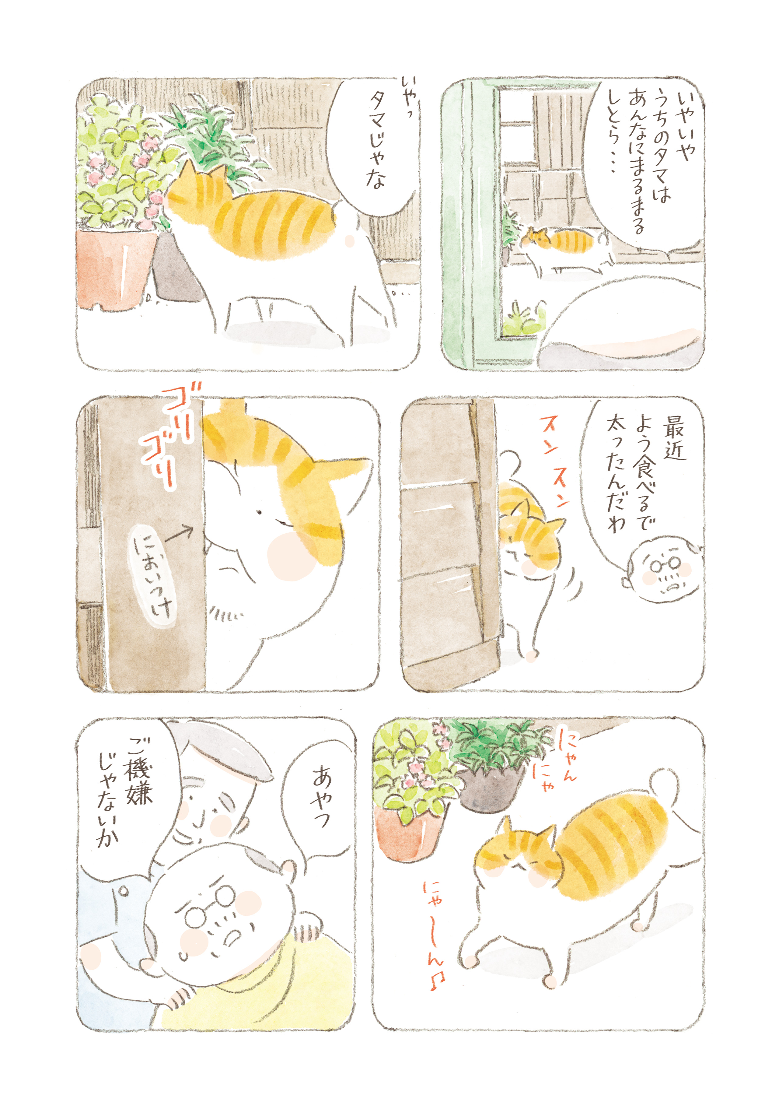 ねこまき ミューズワーク 2025年03月13日（木）ねことじいちゃん