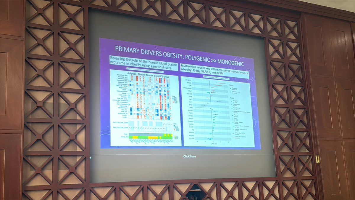 Primary drivers of obesity