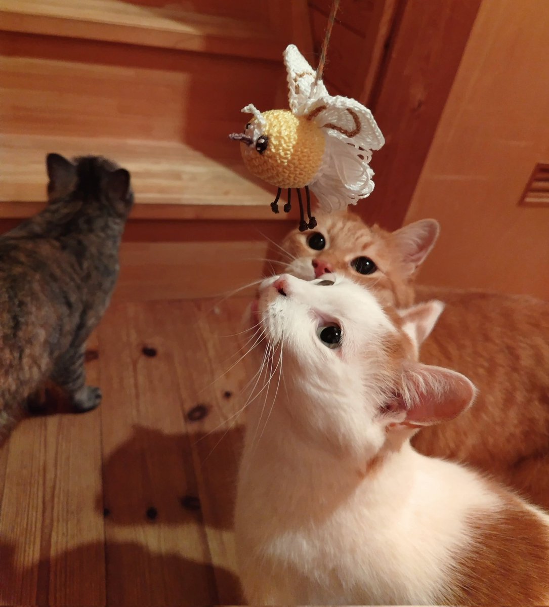 アブリーちゃん！おしりふわふわです　#ポケモン　#あみぐるみ