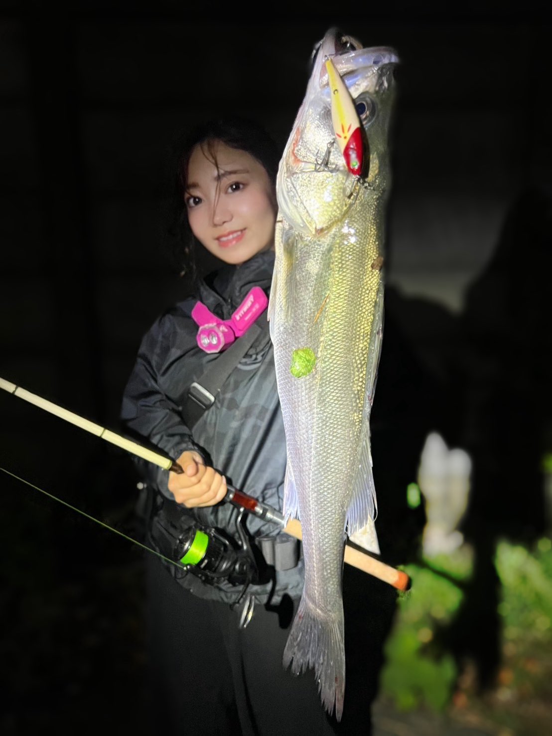 あかねん あかねん🎣☾ (@koakanen) / X