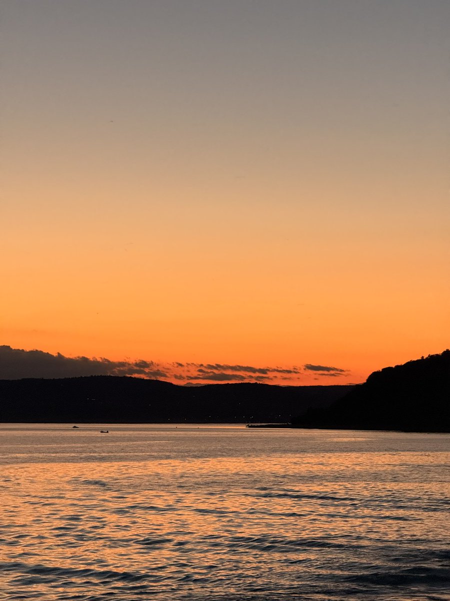 Roneinen Haugenin tweet media