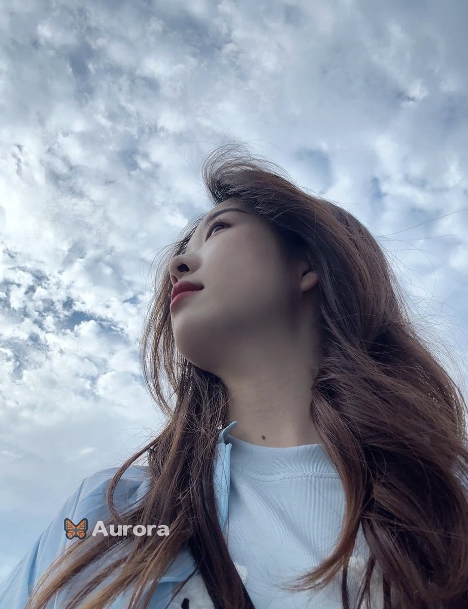 🦋Aurora（國小老師） tweet media