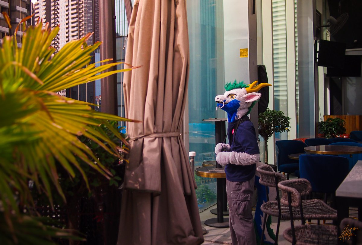 최면술사~
Suiter: <a href="/BusCaptainDrgn/">Anakie 🔜 獸無限2025</a>
#FursuitFriday #dragonx2