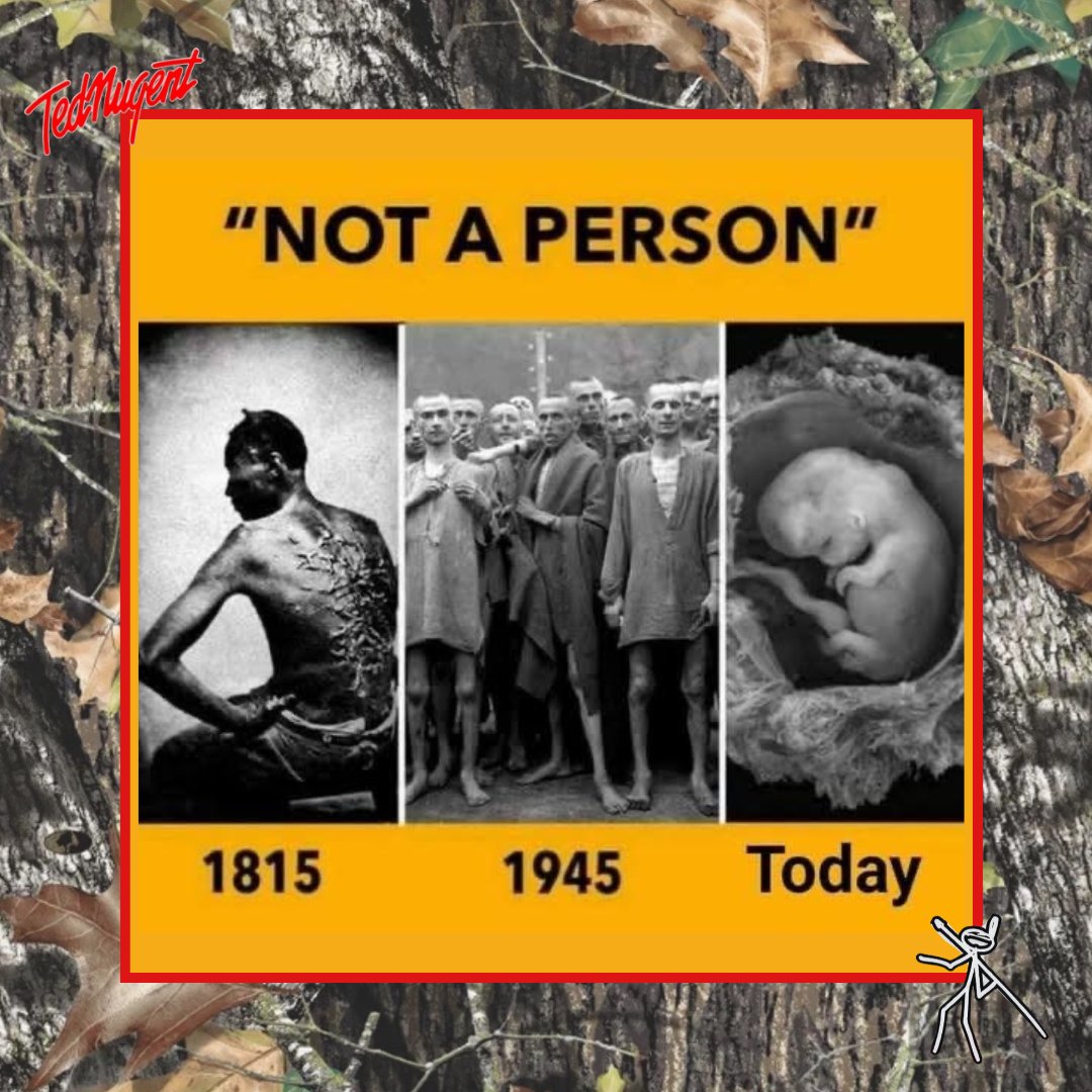 TedNugent's tweet image. 