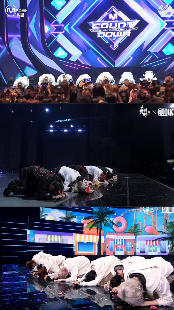 ella 🐍 tweet media