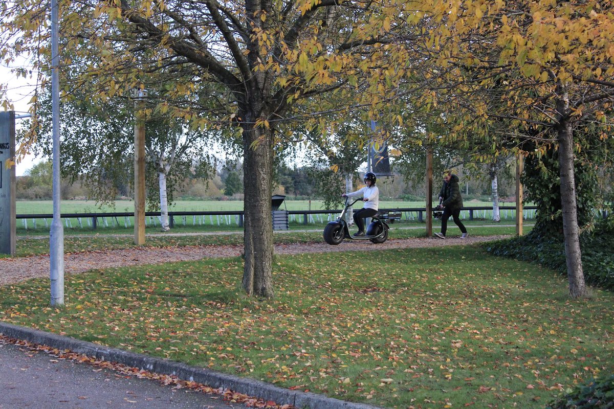 Reesink e-Vehicles tweet media