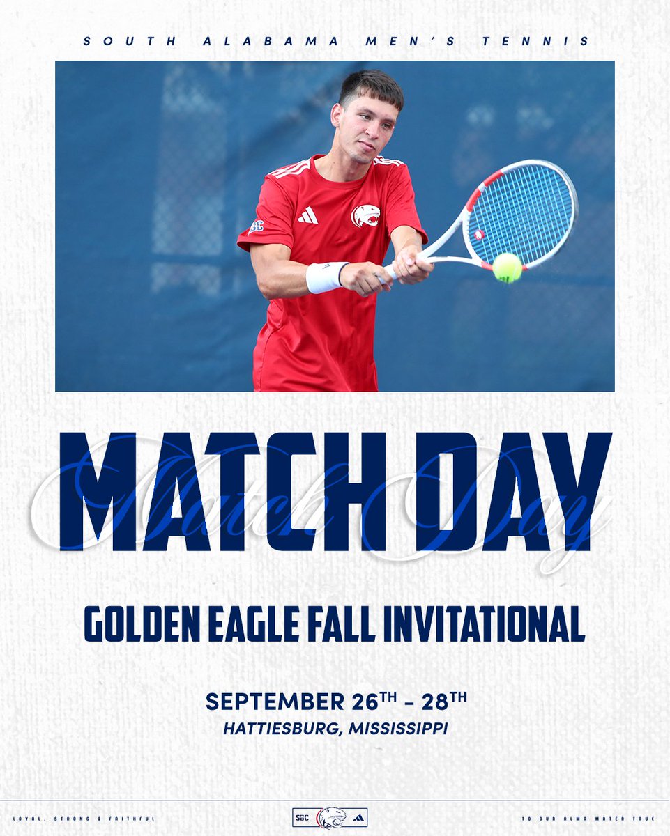 WE'RE BACK‼️

#LSF