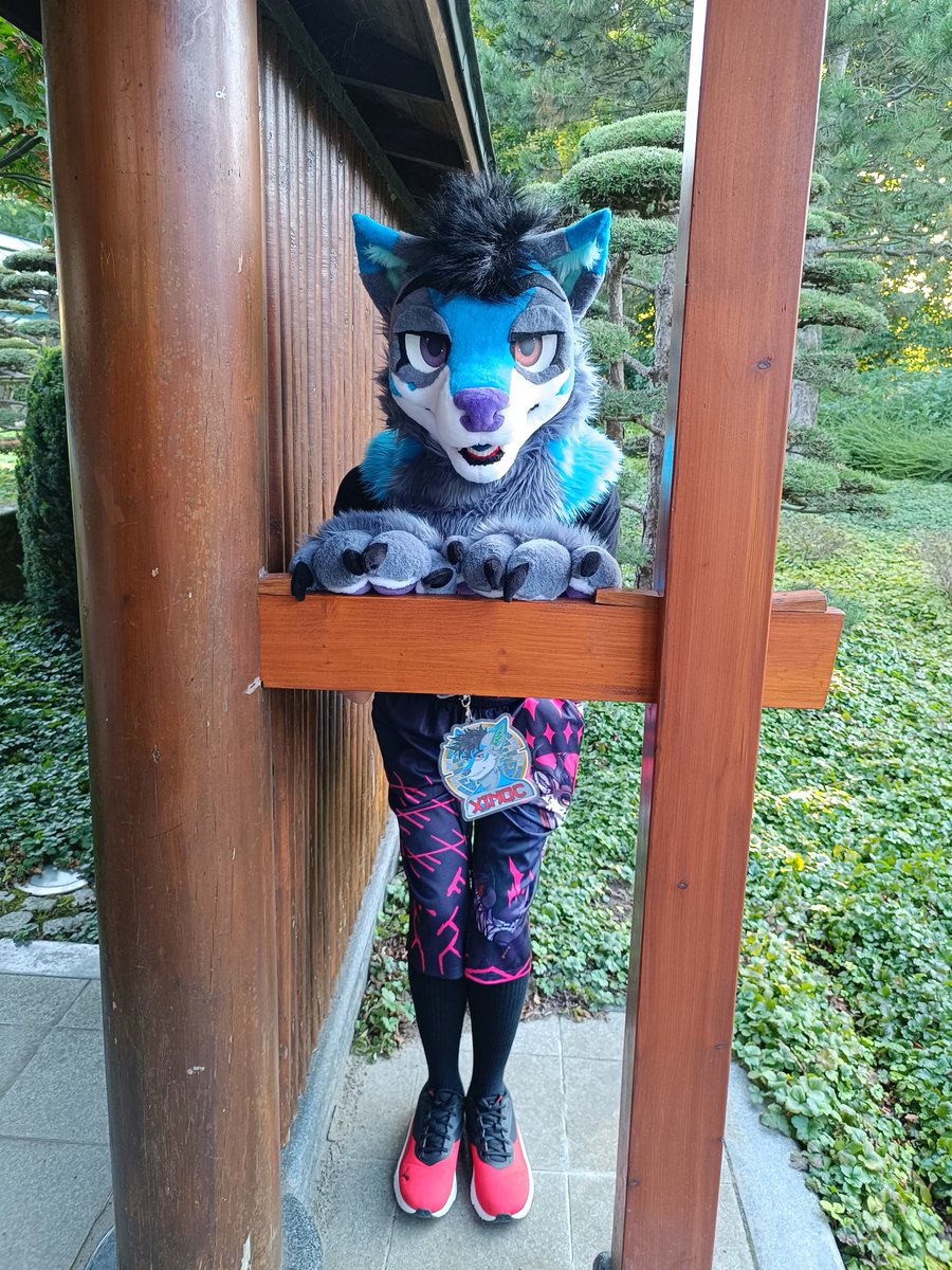 I'm very sneaky, like a good fox 🦊

🪡: <a href="/LilacDreamST/">LilacDreamsStudio 🔜GoldenHorn</a> 
Happy #FursuitFriday