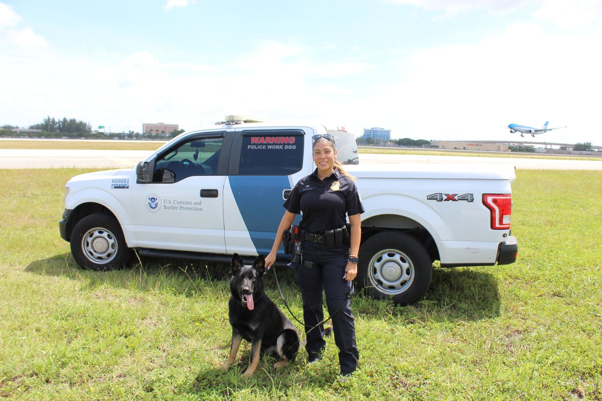 💥Weekly Wrap-Up: Fourth Week of Sept 💥

• 286 Arrests
• 1,516 lbs. Cocaine
• 964 lbs. Meth
• 404 lbs. Fentanyl
• 989 Rounds Ammo
• 19 Pistols
• 70 Vehicles
• $460K in Currency
• $29M in Recovered Duties
• 766 Prohibited Animal Products
• 344 Pests

#OFOproud🇺🇸