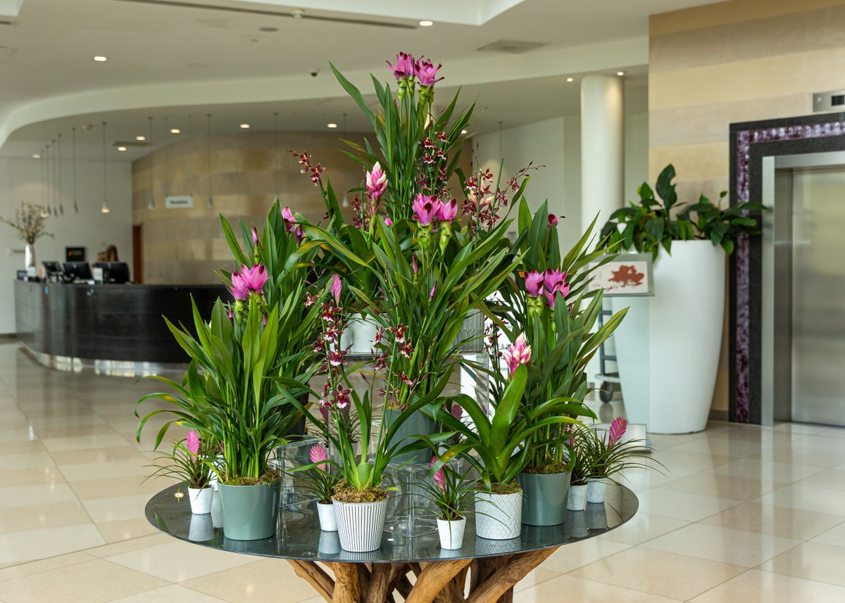 🌷✨ 𝑭𝒍𝒐𝒘𝒆𝒓𝒔 𝒕𝒉𝒂𝒕 𝒔𝒂𝒚 𝒉𝒆𝒍𝒍𝒐 𝒃𝒆𝒇𝒐𝒓𝒆 𝒘𝒆 𝒅𝒐!

A warm welcome to Hilton Reading, where every detail is designed to make your stay memorable. 🌙 

#HiltonReading #Hospitality #HotelWelcome #BusinessTravel #LeisureStay #MakeYourselfAtHome #TravelWithHilton