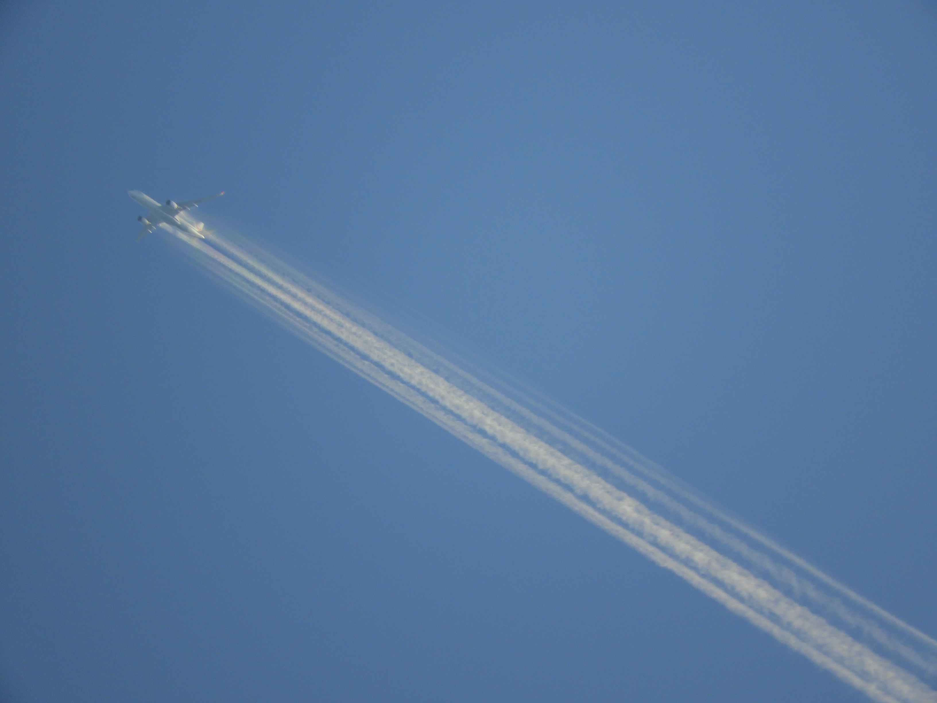 夏の飛行機雲 なぜ夏空に飛行機雲ができるの？】知られざる雲の正体をAIが