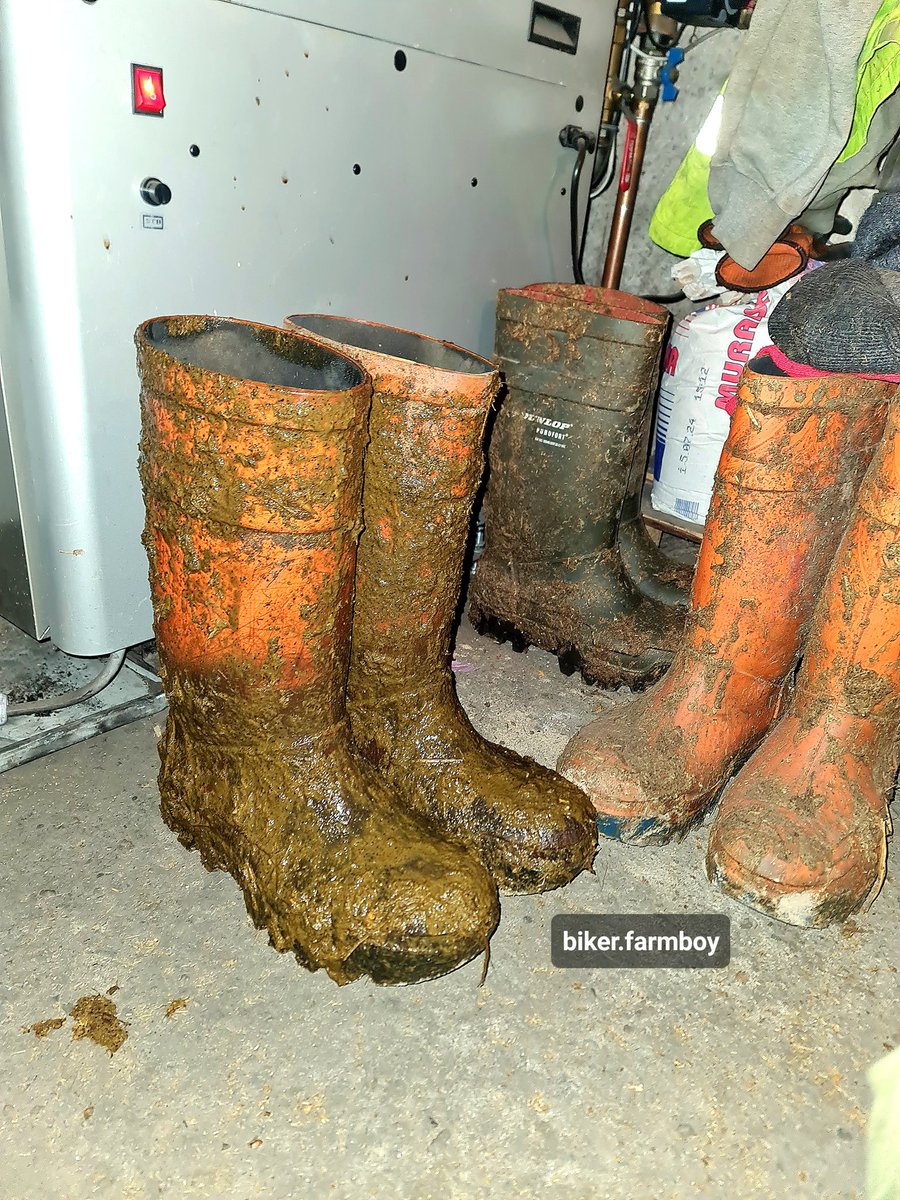 Biker_farmboy tweet media