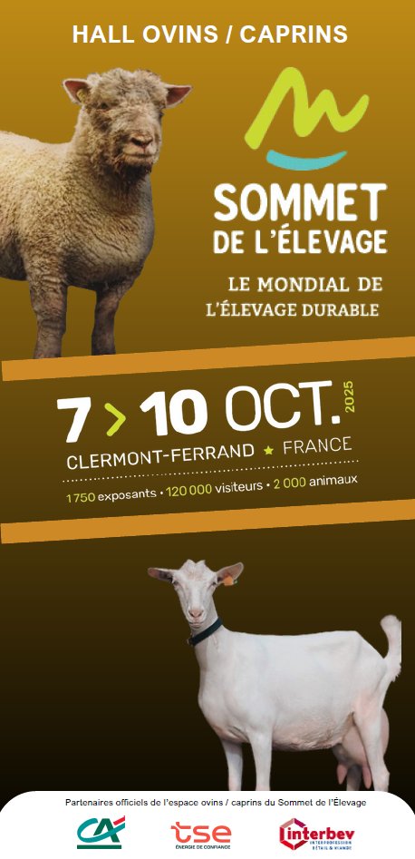 [J-7 SOMMET de l'élevage]

⏱ Plus qu'une semaine avant l'ouverture du Sommet de l'Elevage!

Rendez vous sur le stand Inn'ovin✨Hall 5, stand A2✨

Toutes les informations sur les animations du hall :
📍inn-ovin.fr/wp-content/upl…