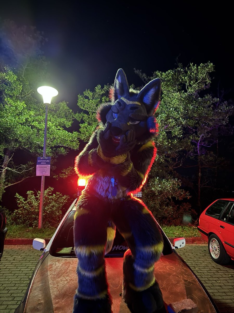 I almost feel sorry for doing that to the car (just joking)
🚘:<a href="/Flame_Coyote/">Flame Coyote</a>