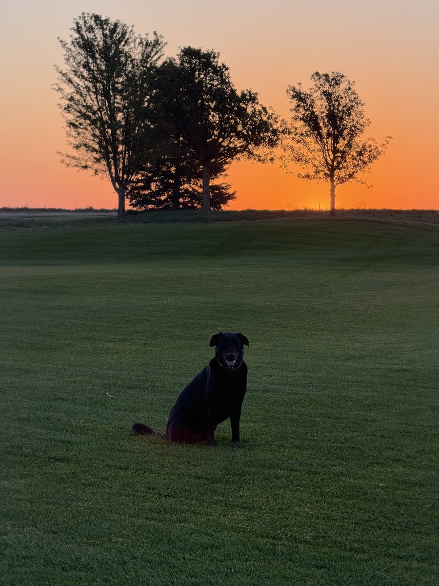 Murray says it’s a beautiful morning..