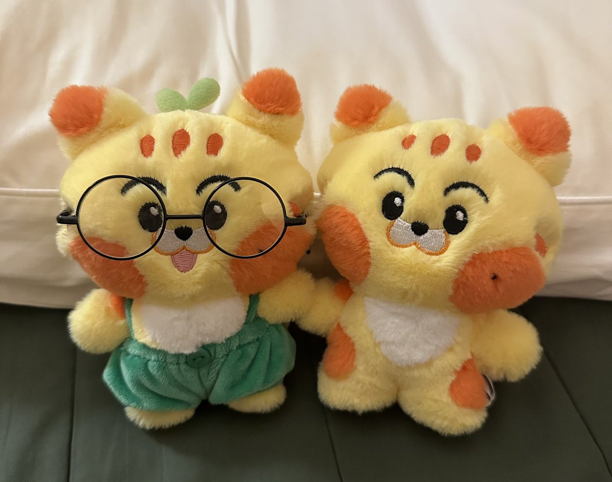 똘똘애옹
