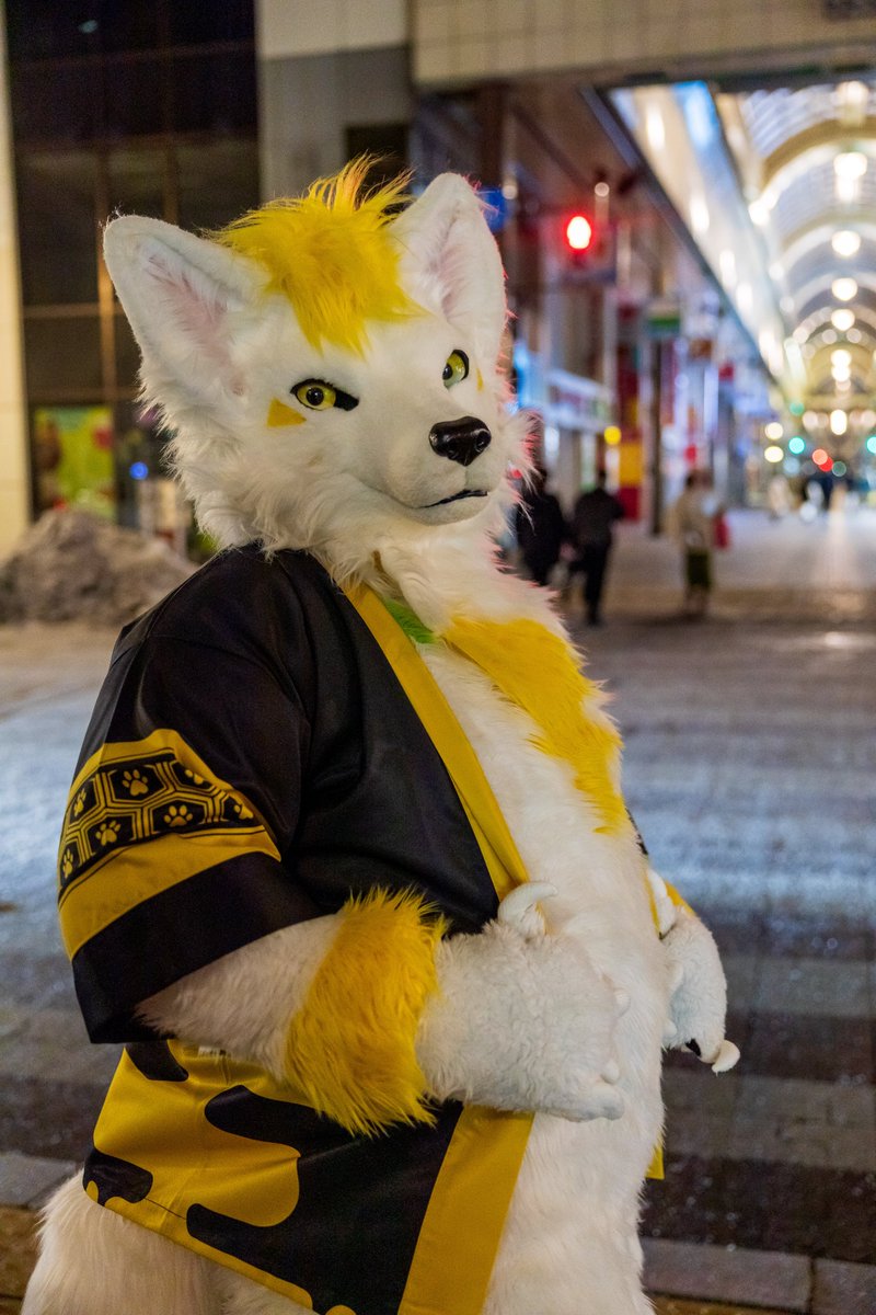 #FursuitFriday 
#ちるこん
📸: <a href="/jason21716/">沙鷗 Sa'O / 巴斯克 Basik ➡️ ちるこん2025 ➡️ 以茶會毛2025</a>