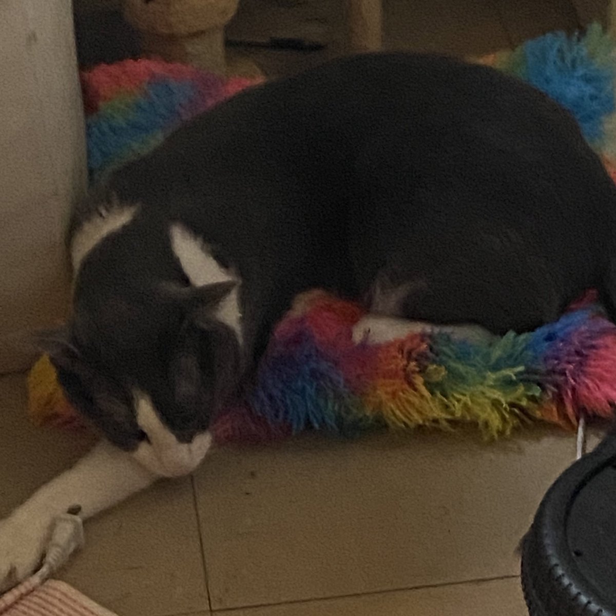 Sorry for the lack of posts this FUCKER doesn't want to WAKE UP