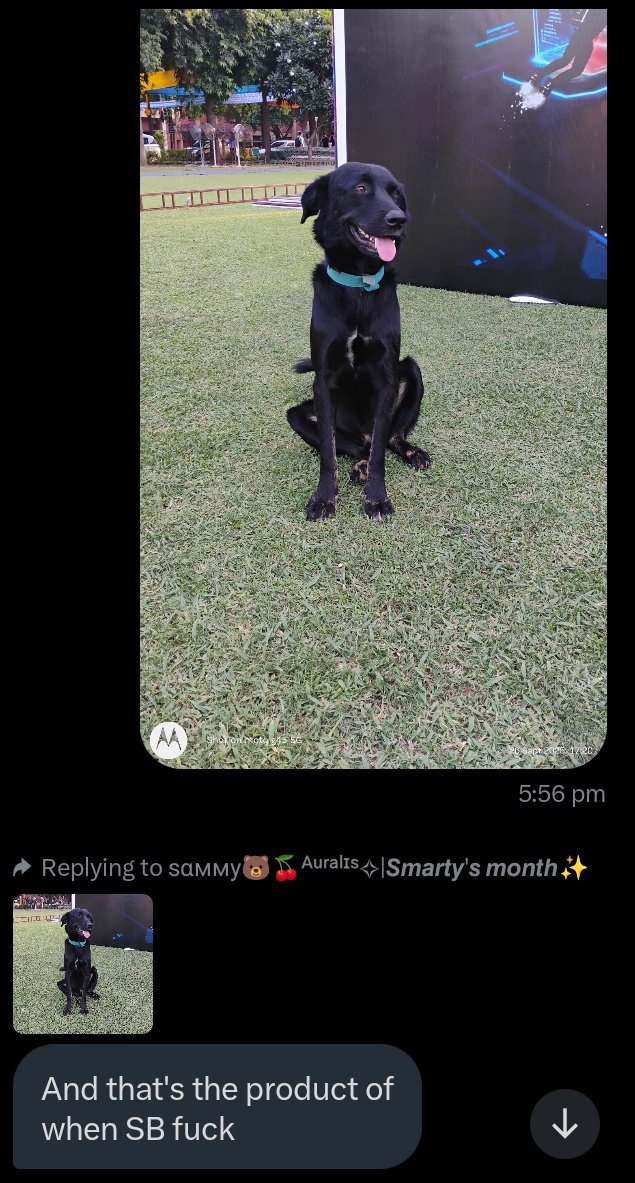 I am crying 😭😂😭