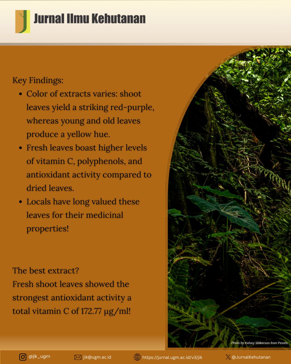 JurnalKehutanan's tweet image. Discover the Power of Sungkai Leaves

Read the full article 👇JIK Vol. 18 No. 2 (2024): September
🔗 jurnal.ugm.ac.id/v3/jik/article…

#JIK
#journals
#scientificjournal
#publication #SungkaiLeaves #ImmunityBoost #NaturalRemedies #Research #HerbalMedicine #Biodiversity