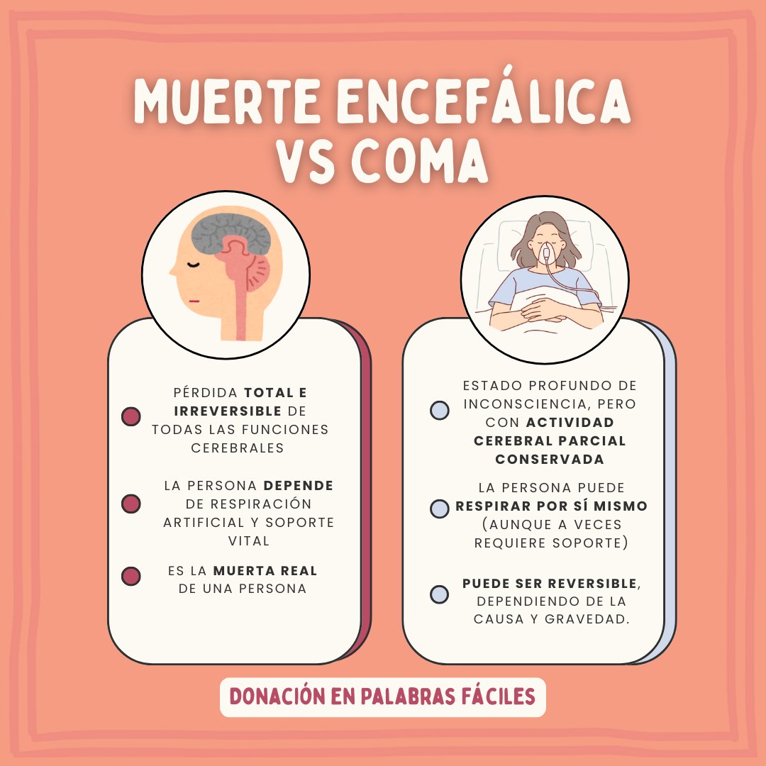 Uno de los temas que más dudas genera cuando hablamos de donación es el concepto de muerte encefálica, que muchas veces se confunde con el coma. 

👉 Te invito a leer más sobre este tema en mi blog:
 donacionenpalabrasfaciles.blogspot.com/2024/12/hablem…

#Chile #Información #Salud #vidas #blog