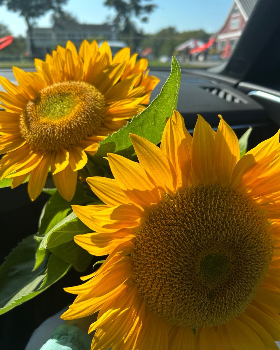 Moe Phillips tweet media