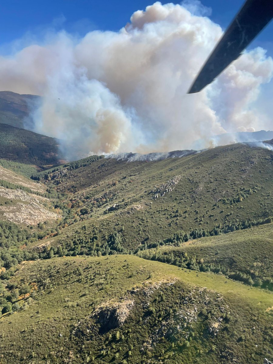 AT_Brif's tweet image. 14:35🎥#IFPeñalbaDeLaSierra #Guadalajara 

@BRIFpradotwit se aproxima al incendio y se dispone a trabajar en el mismo sector de @brif_iglesuela.

Somos #BRIF de @mitecogob
