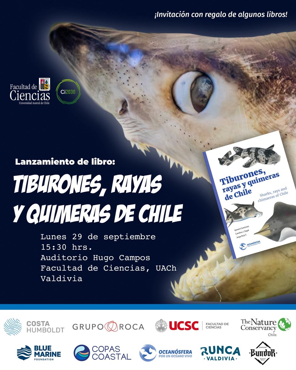 El próximo lunes, 29 de septiembre se realizará el lanzamiento del libro Tiburones, rayas y quimeras de Chile a las 15:30 hrs.

En el auditorio Hugo Campos de la Facultad de Ciencias, Campus Isla Teja, UACh, Valdivia.
Habrá firma con sus 3 autores, regalo y venta de libros.