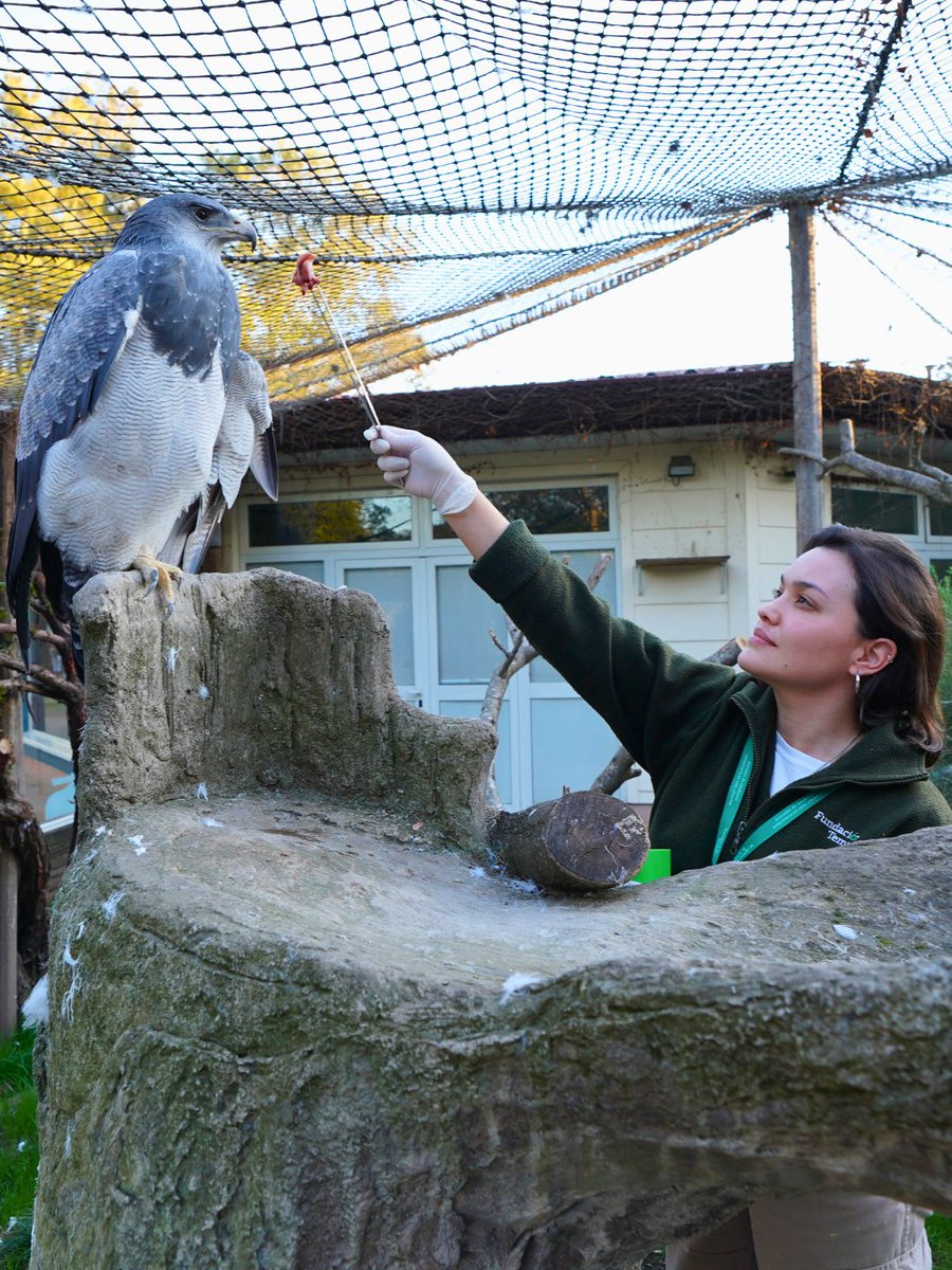 Fundación Temaikèn tweet media