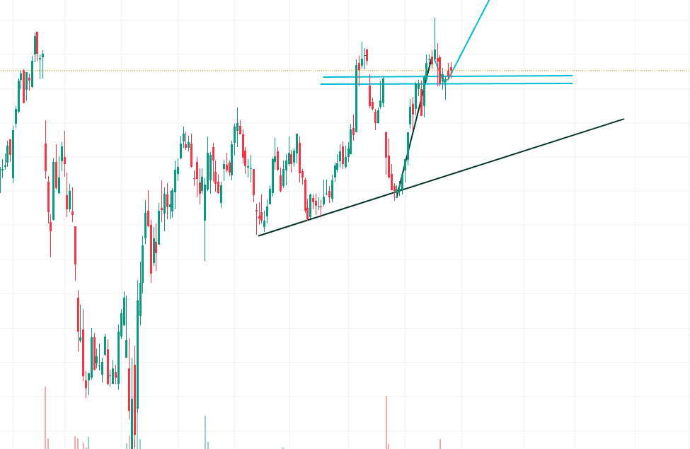 Alexander Cole tweet media
