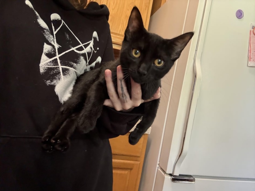 I’ve had this dude for 2 months and cannot think of a name helpppp

most commented or most upvoted