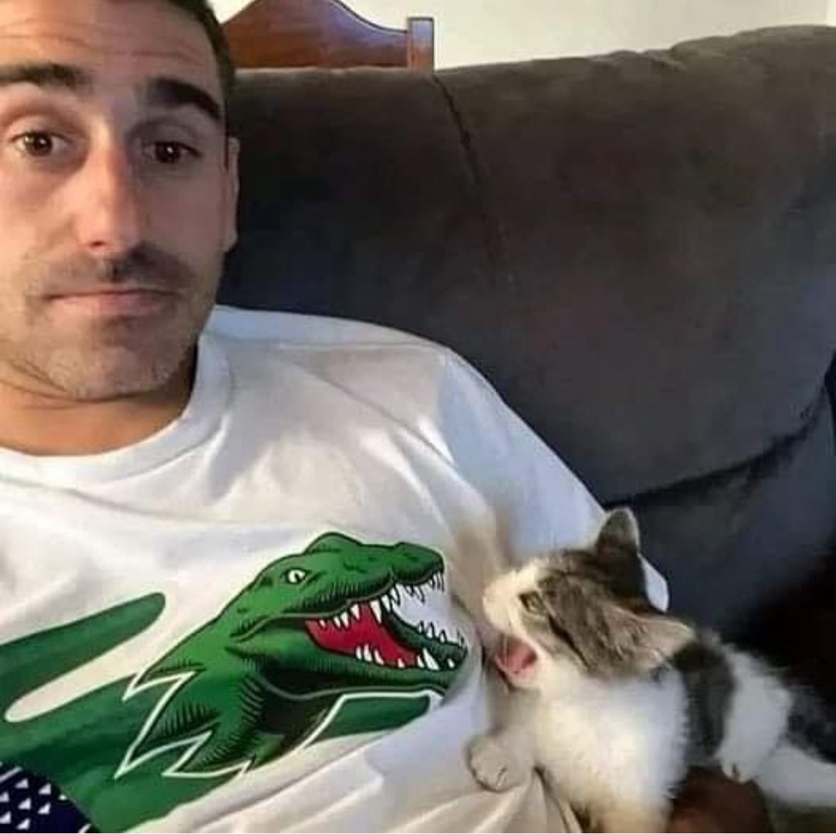 Give this cat a name