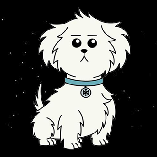 SnufflesBSC's tweet photo. Snuffles is here 

We are ready to take over BSC.

https://t.co/wcG7dEeN7n https://t.co/z7R7CPufaW