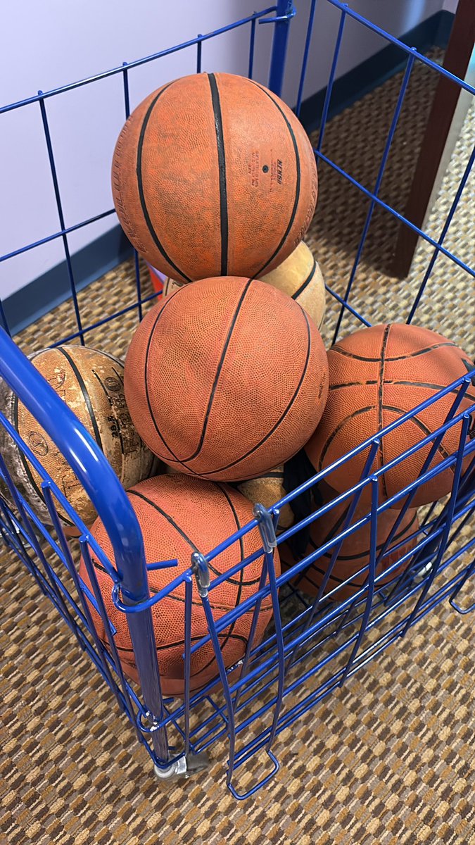 To my TC Metro area coaches, I am an elementary Phy Ed teacher at a Charter school in St. Paul. Wanted to see if any of you have some balls that you are ready to cycle out of your rack. Specifically, I could really use some 28.5s, but our 29.5s are likely not wrong for the world