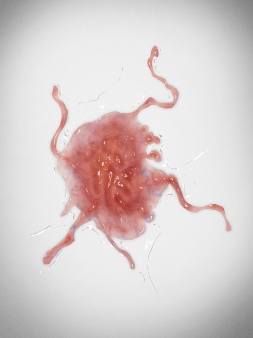 今日の触手🪱

噛まずにじゅるっと飲み込んでね^^ 