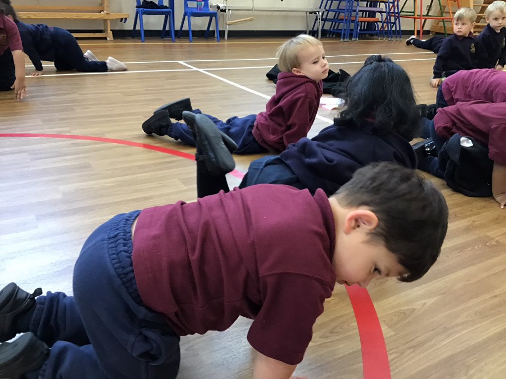 AVPANursery tweet media