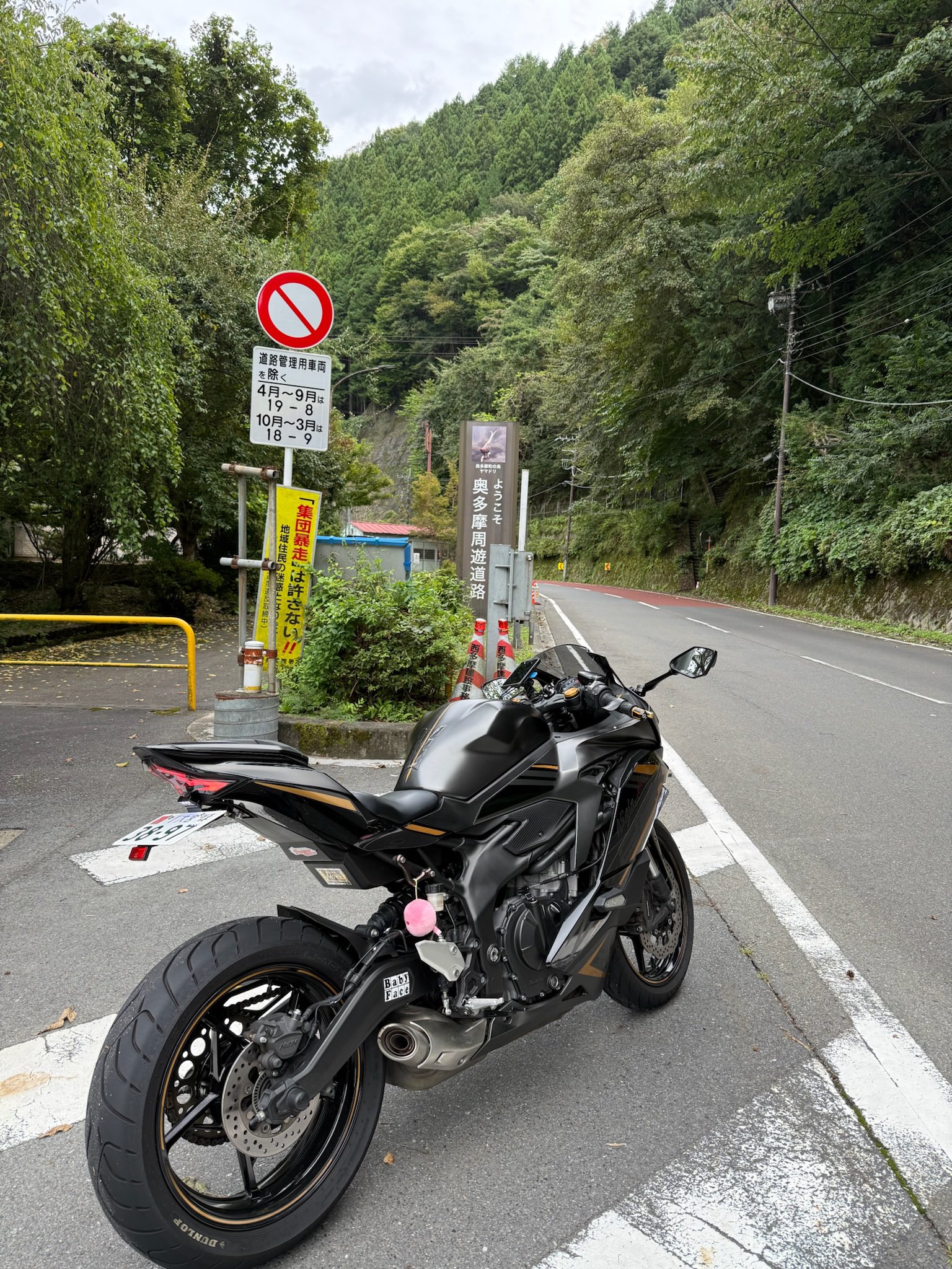 檸檬🍋/25r🥷 (@Lemon_zx25r) / X