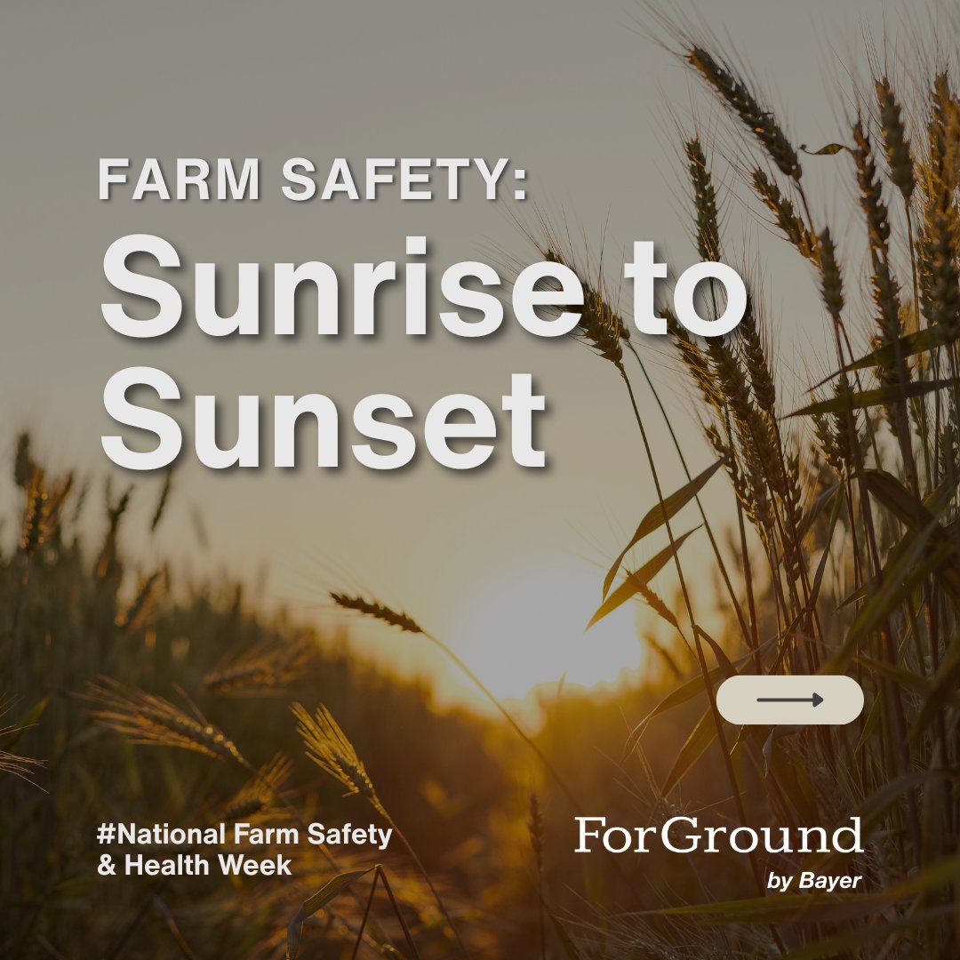 ForGround_Bayer's tweet image. 🌅 From sunrise to sunset, safety should always come first.
This National Farm Safety &amp;amp; Health Week, let’s commit to making safety a habit—every day.

Swipe through for quick tips to stay safe on the farm. 🚜

#NFSHW #FarmSafety #ForGround #AgSafety
