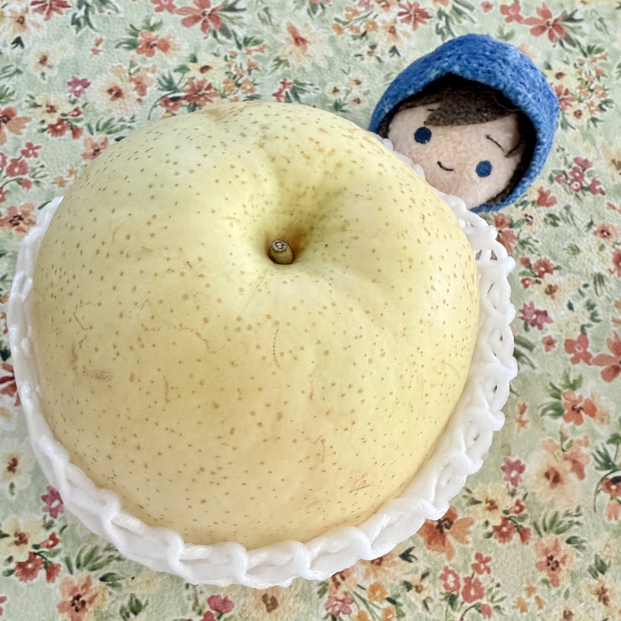 ♡カオリちゃん♡ 𝐆𝐢𝐫𝐥𝐬²𝟒𝐭𝐡 𝐚𝐧𝐧𝐢𝐯𝐞𝐫𝐬𝐚𝐫𝐲 #隅谷百花 Instagram