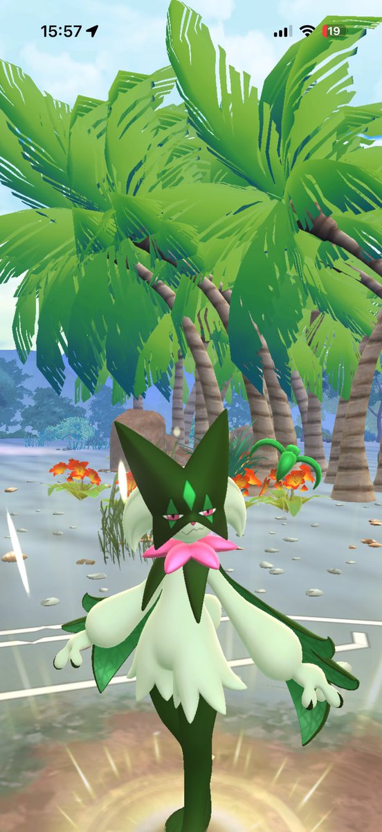 Chill setting for a Meowscarada massacre 🏝️