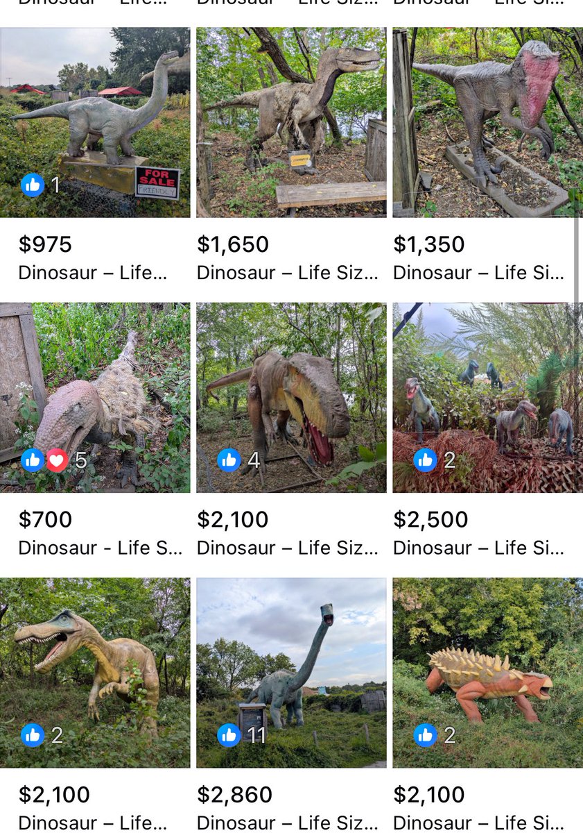 Fossil Locator tweet media