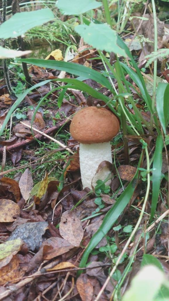 A jaké výhledy máte dnes vy?