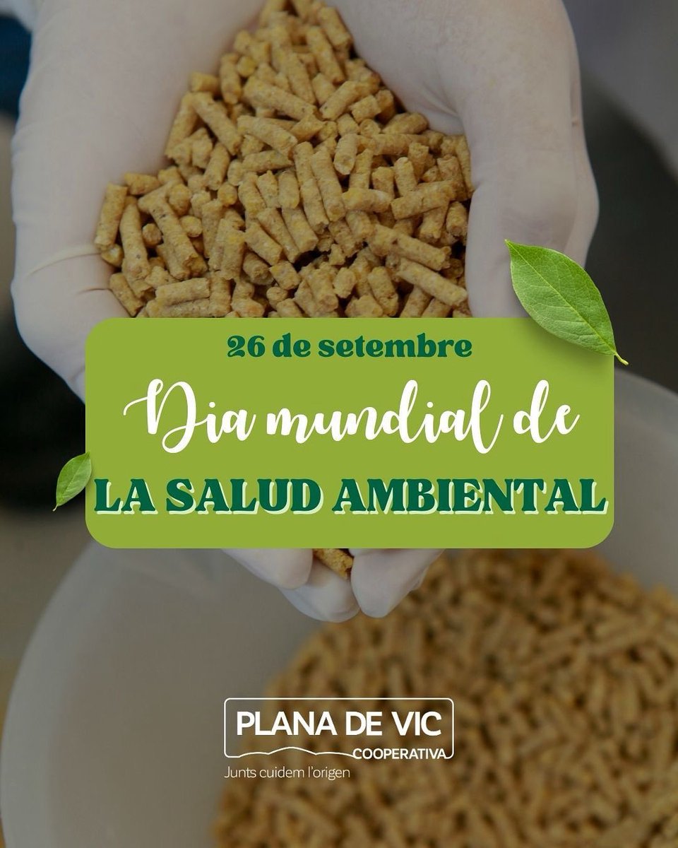 Plana de Vic tweet media