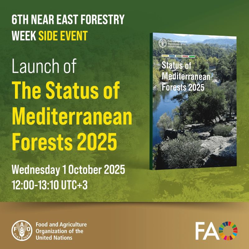 📢 <a href="/FAO/">Food and Agriculture Organization</a> &amp; Silva Mediterranea launching the Status of Mediterranean Forests 2025!

🗓️ 1 Oct | 11:00 CEST

🌳 Insights on degradation, climate impacts &amp; wildfires

🌱 Solutions: restoration &amp; integrated fire management

🔗 Register: bit.ly/46vtsoI

<a href="/FAOForestry/">FAO Forestry</a>