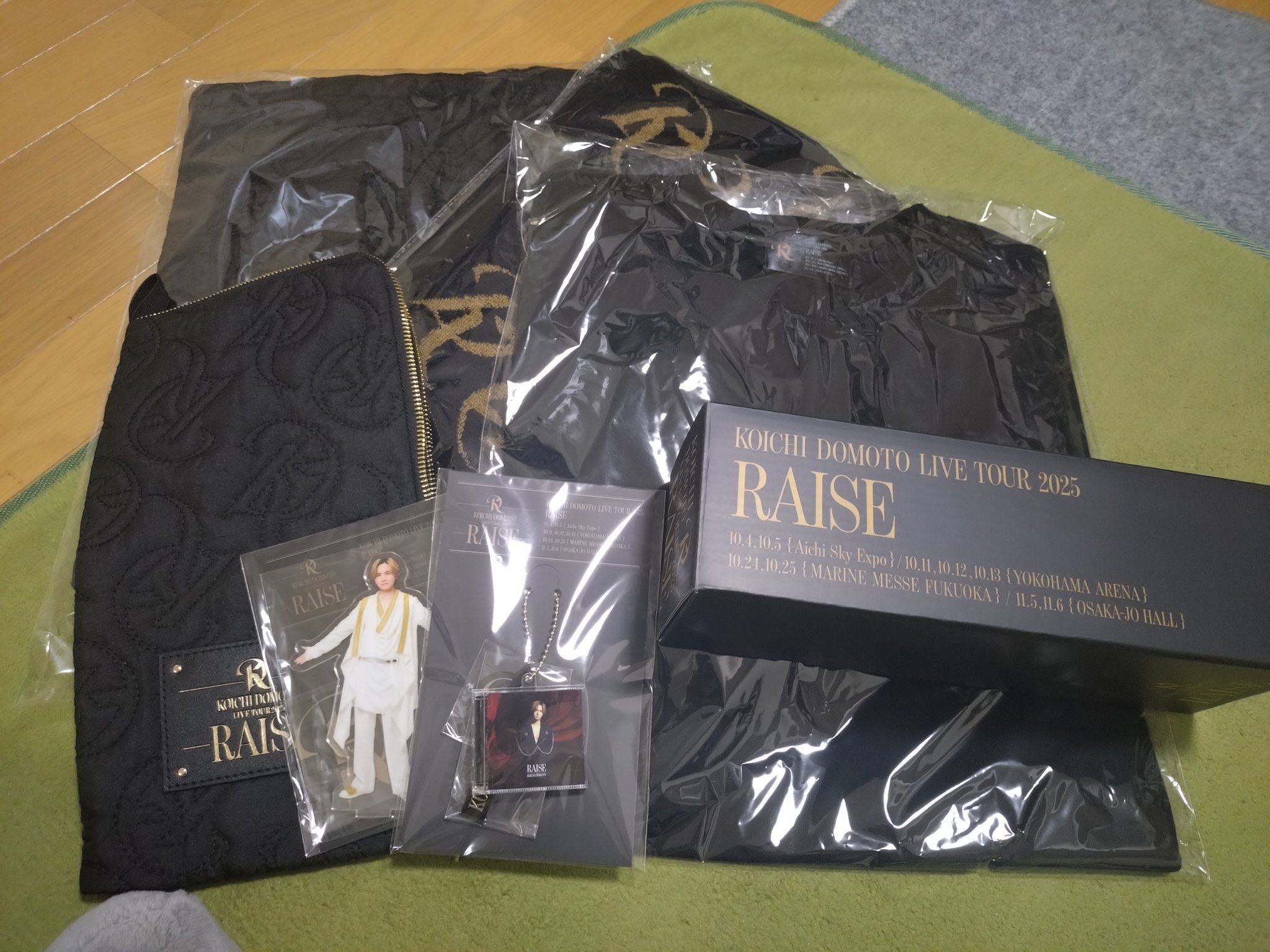 KOICHI DOMOTO /RAISE/コンサートグッズ/トートバッグ トートバッグB