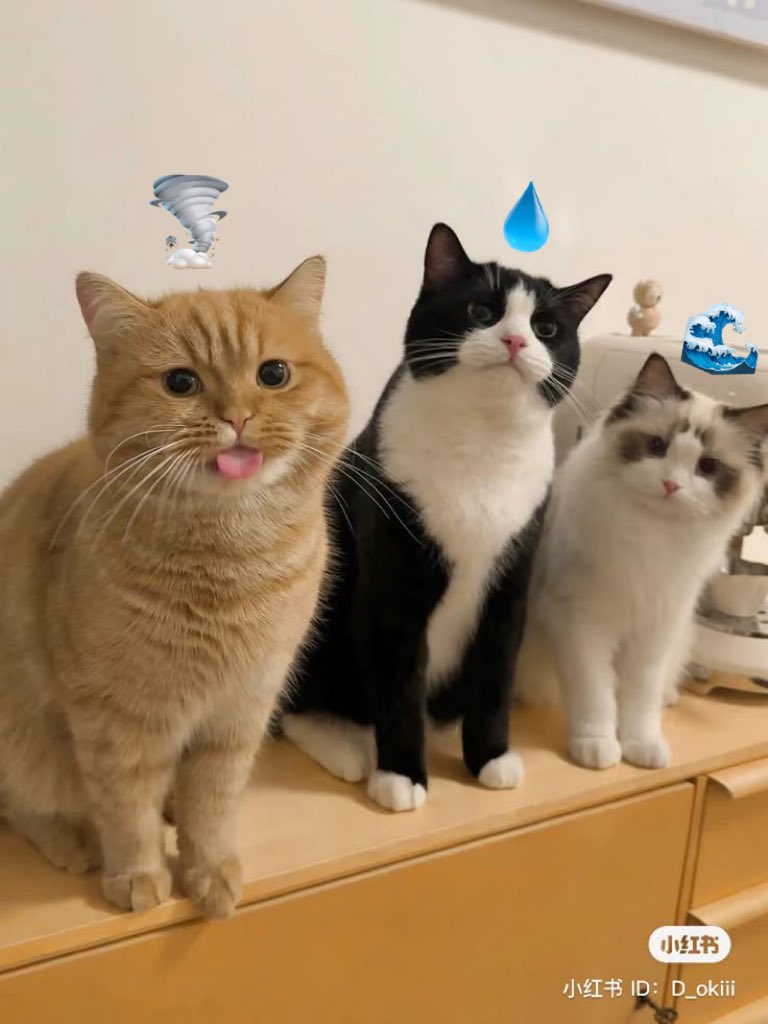 อยากเห็นซีนนี้ที่สุด 5555555555555555

THE​ WATER Q2 SHOOTING
#นทีร้อยเล่ห์คิว2