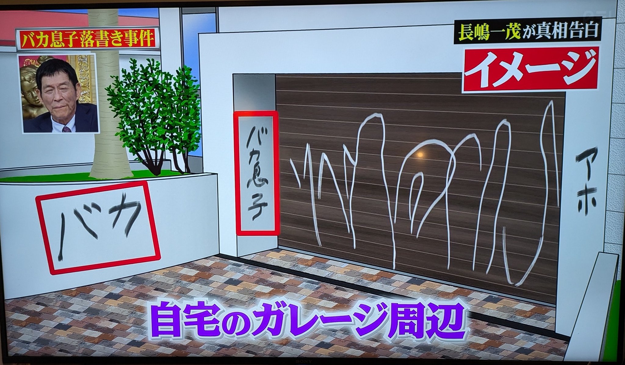 活動歴および当時の関連ビジュアル記録