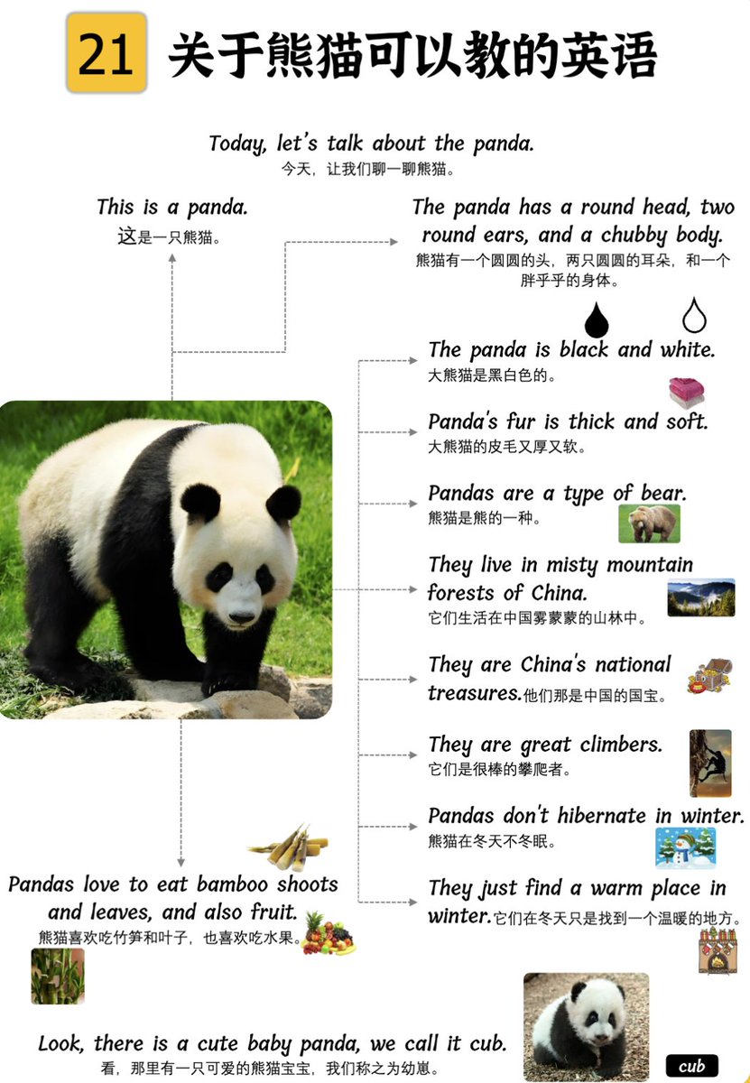 grgerwcwetwet's tweet image. 挖到宝了❗️
英语启蒙思维导图：帮助孩子开口说英语

一天看一页，一共102页，主题超丰富，动物、植物、交通工具、水果啥都有。

打印出来效果很好，英语初学者也可以学习。👇

英语启蒙思维导图+音频
pan.quark.cn/s/00cb639b2288