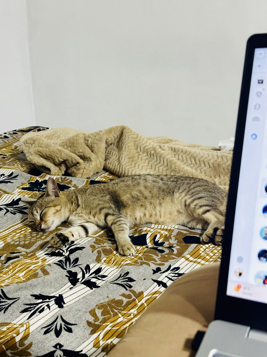 Bro joined the meeting just to take a nap.. 🥹😁