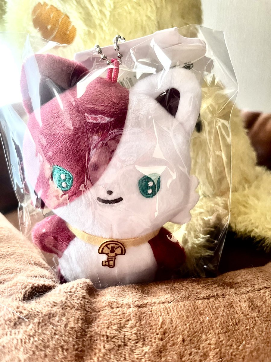 我が家に無事到着したロレたうん